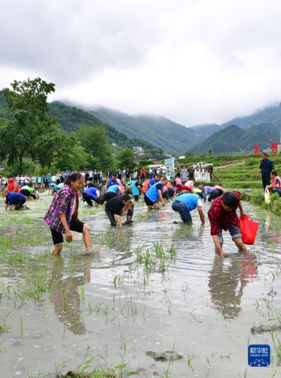 5月27日，秭归县九畹溪镇农民参加摸鱼比赛。